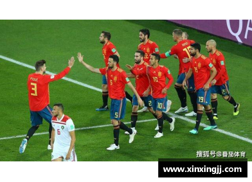DG真人欧国联比赛结果揭晓，球队粉丝欢呼雀跃