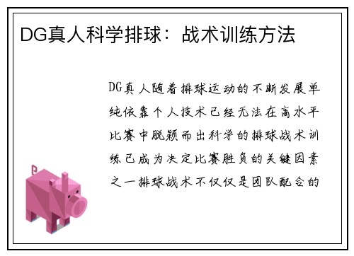 DG真人科学排球：战术训练方法
